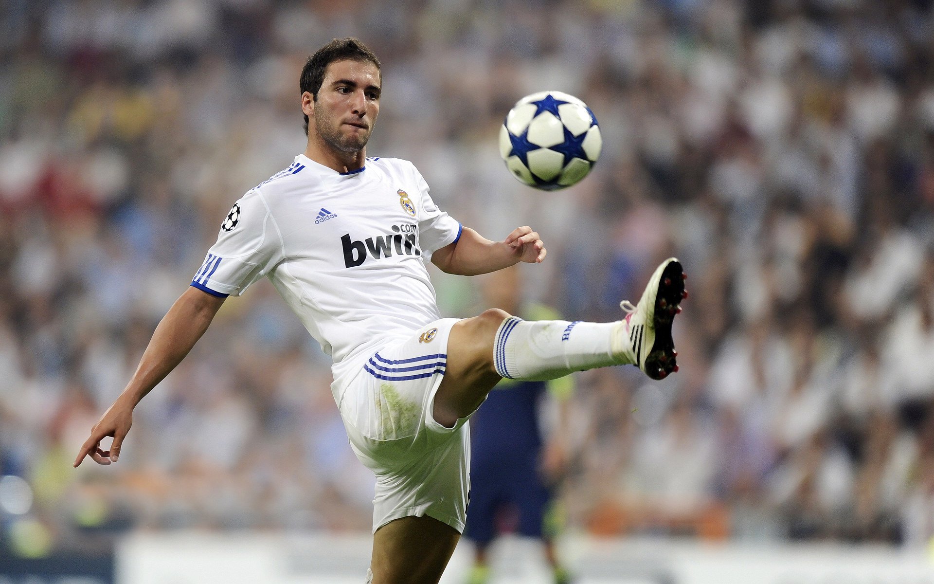 开云体育在线-芬兰爆冷突尼斯,布鲁诺,那个在极光与沙暴之间起舞的关键先生 第1张 开云体育在线-芬兰爆冷突尼斯,布鲁诺,那个在极光与沙暴之间起舞的关键先生 第1张